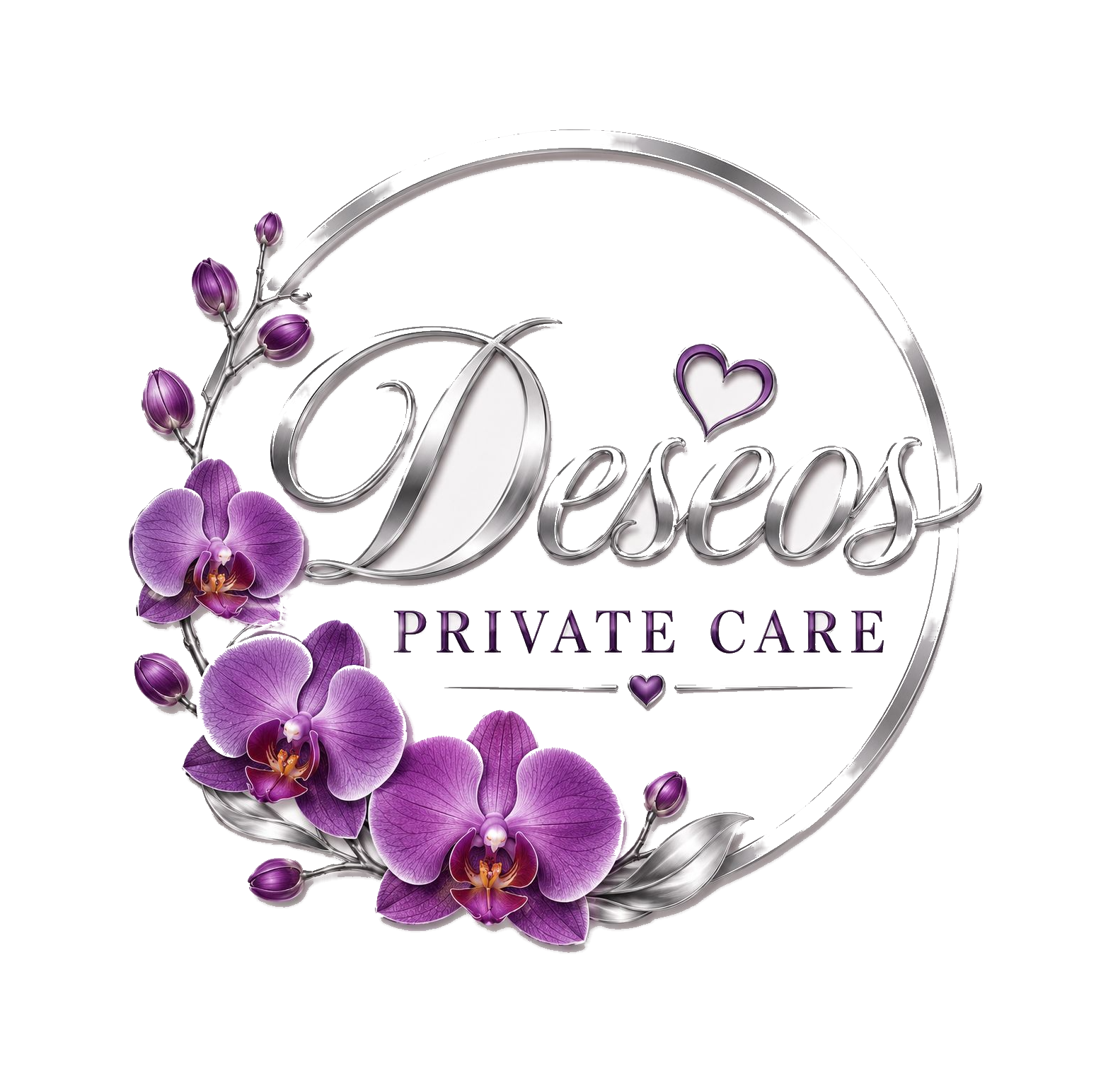 Deseos Private Care logo
